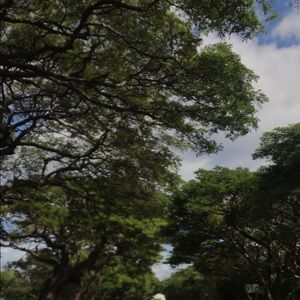 Meet your Posher, Isabel